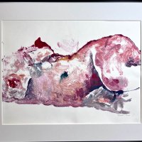 Collections - Monotype